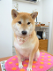 DSCF8212[1]_thumb.png